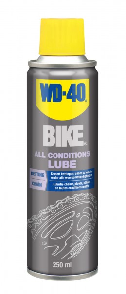 WD-40 lubrifiant toutes conditions en spray gris 250 ml